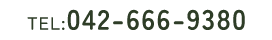 042-666-9380